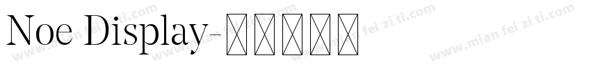 Noe Display字体转换